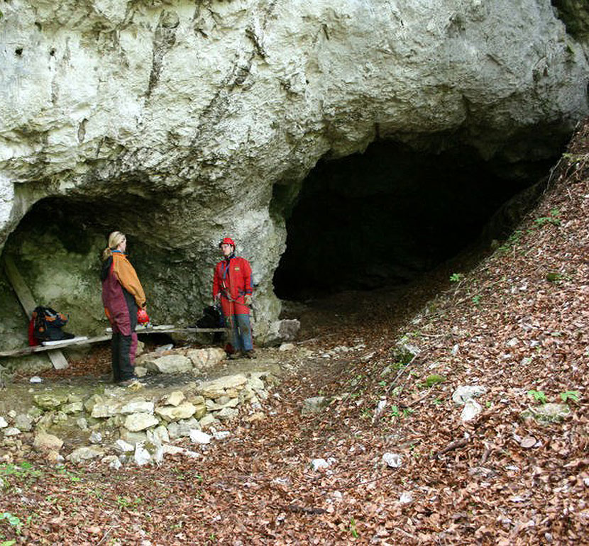 jama-spehovka