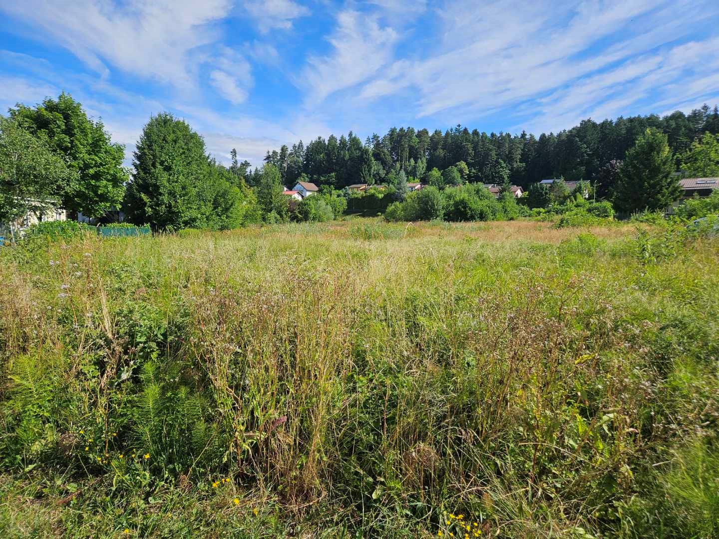 Nadaljujemo z ureditvijo območja Rakova goša | velenje.si